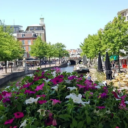 Charming Design In The Heart Of Leiden